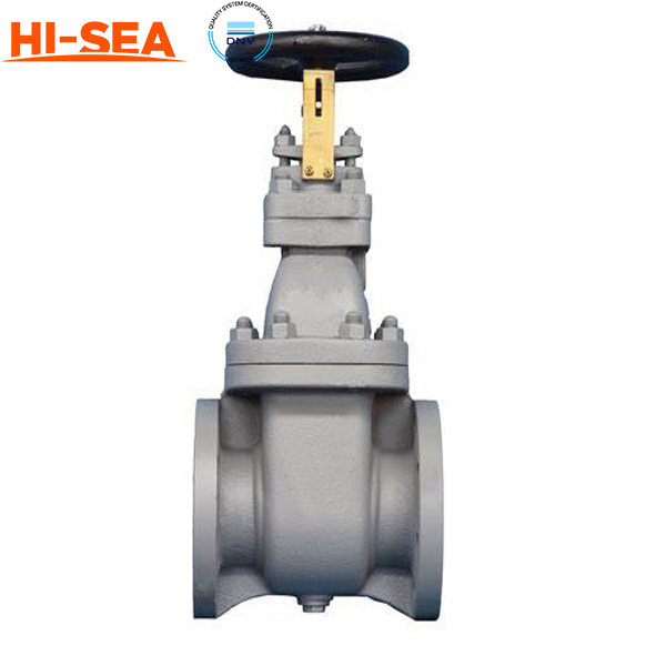 Marine Cast Steel Gate Valve